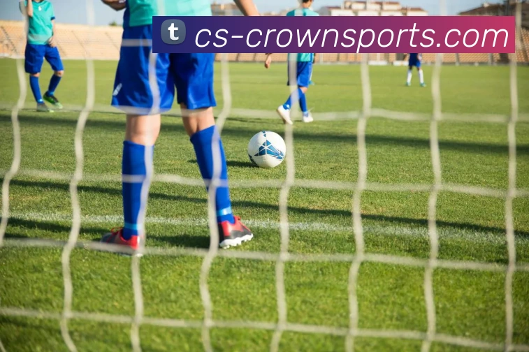 皇冠体育CROWNSPORT官网平台生态图